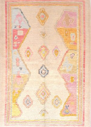 Decorative Hand Knotted Foyer Size Colorful Rug