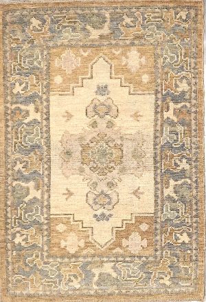 Hand Knotted Decorative Oriental Design Small Size Rug