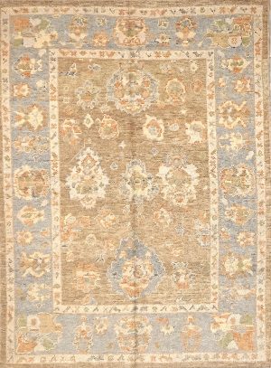 Hand Knotted Foyer Size Oriental Design Rug