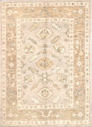 Hand Knot Oriental Design Foyer Size Rug