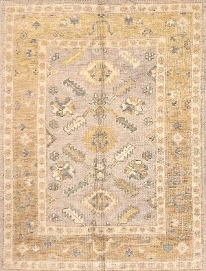 Hand Knotted Foyer Size Oriental Design Decorative Rug