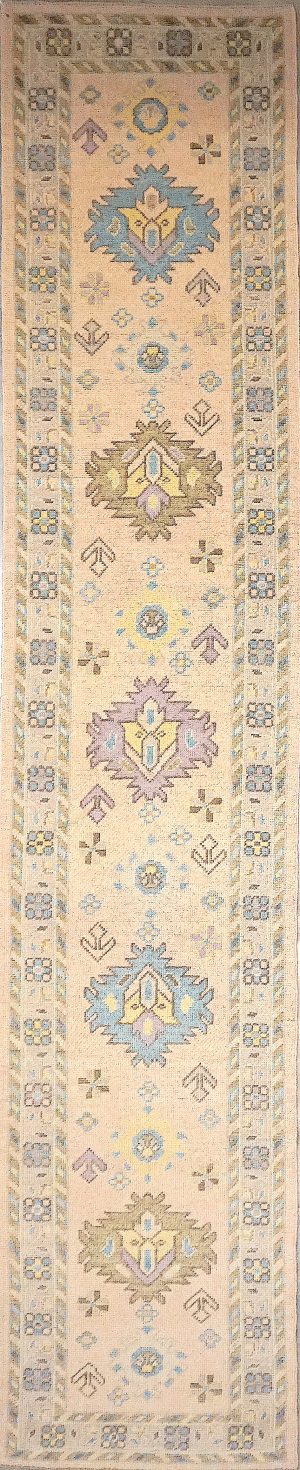 Decorative Hand Knotted Long Runner Rug