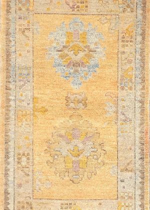 Decorative Hand Knotted Vivid Colors Foyer Size Rug