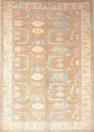 Hand Knotted Decorative Vivid Colors Room Size Rug