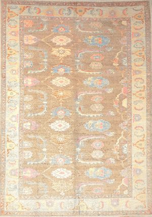 Hand Knotted Decorative Vivid Colors Room Size Rug