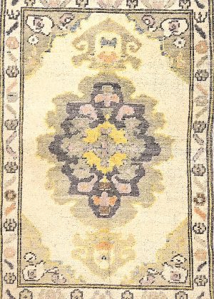 Colorful Hand Knotted Small Foyer Size Rug