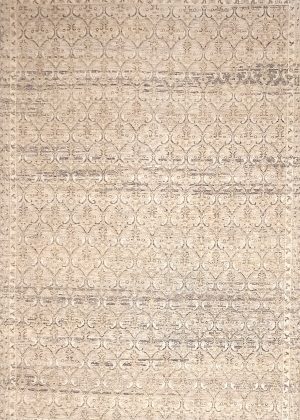 Hand Knotted Decorative Small Room Size Rug