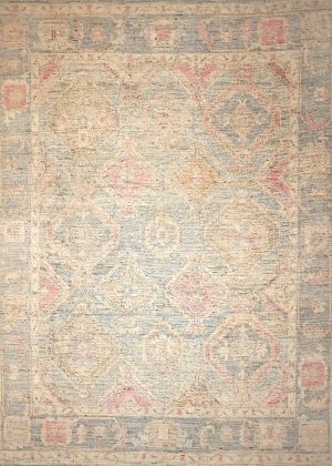 Decorative Hand Knotted All Over Design Rug