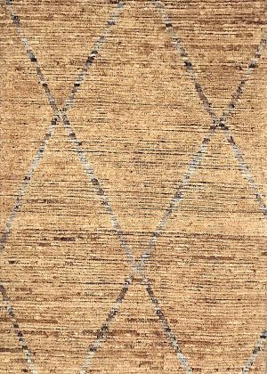 Hand Knotted Decorative Small Foyer Size Rug