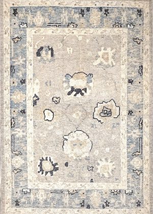Decorative Hand Knotted Foyer Size Rug