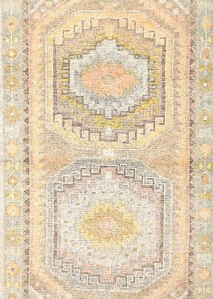 Colorful Hand Knotted Decorative Runner Rug