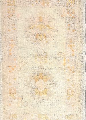 Old Look Hand Knotted Foyer Size Rug