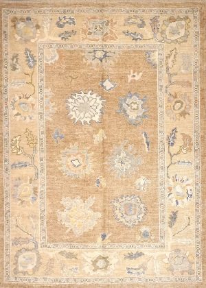 Hand Knotted Foyer Size Decorative Rug